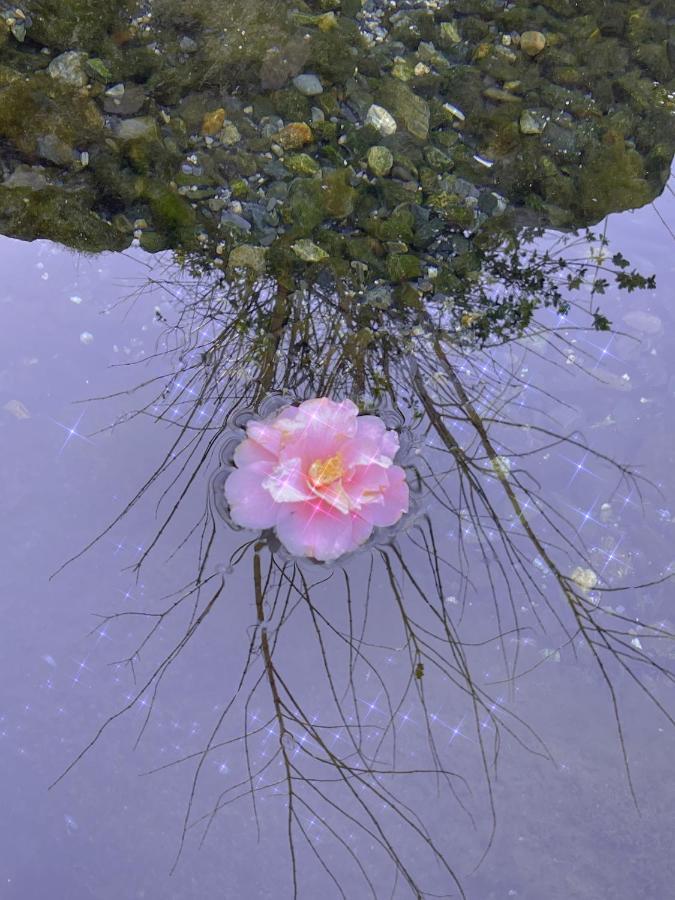 Shiga Biwa Lake Shanshui House Takashima Εξωτερικό φωτογραφία