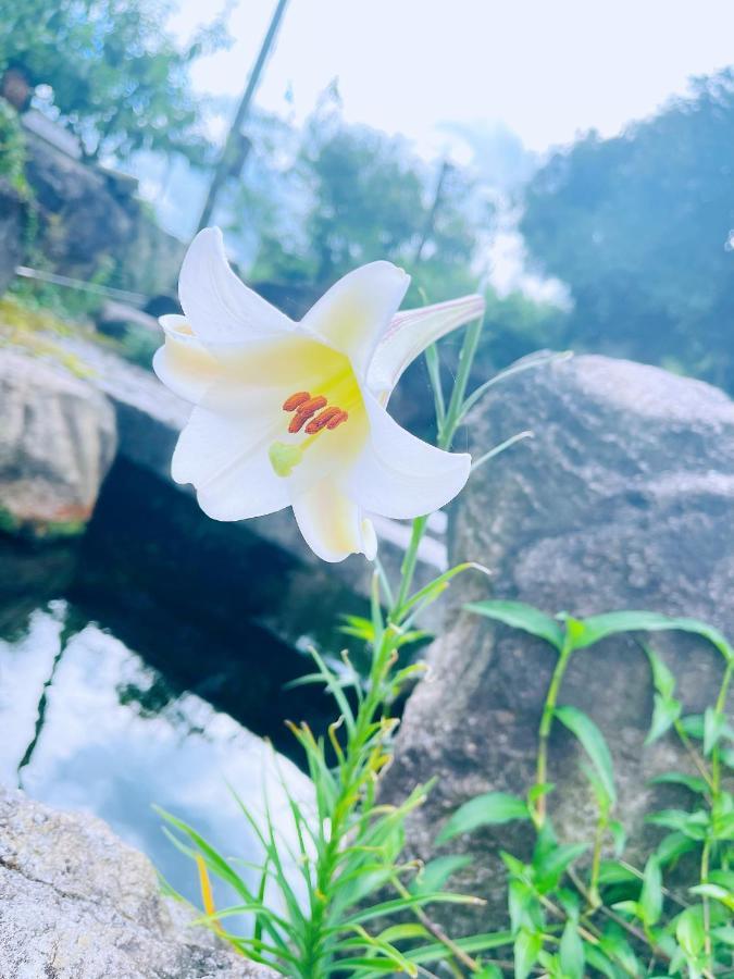 Shiga Biwa Lake Shanshui House Takashima Εξωτερικό φωτογραφία